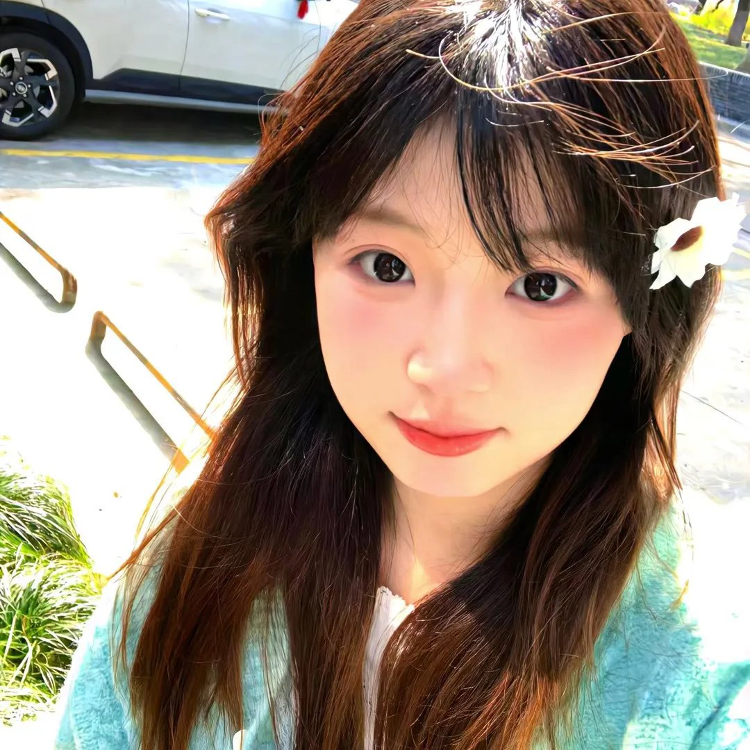 十二猴子