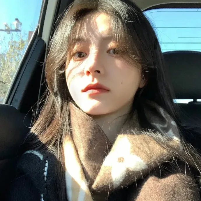 寅次郎的故事5 望乡篇