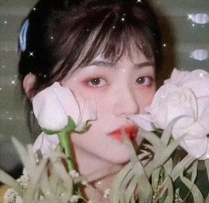 同窗的爱
